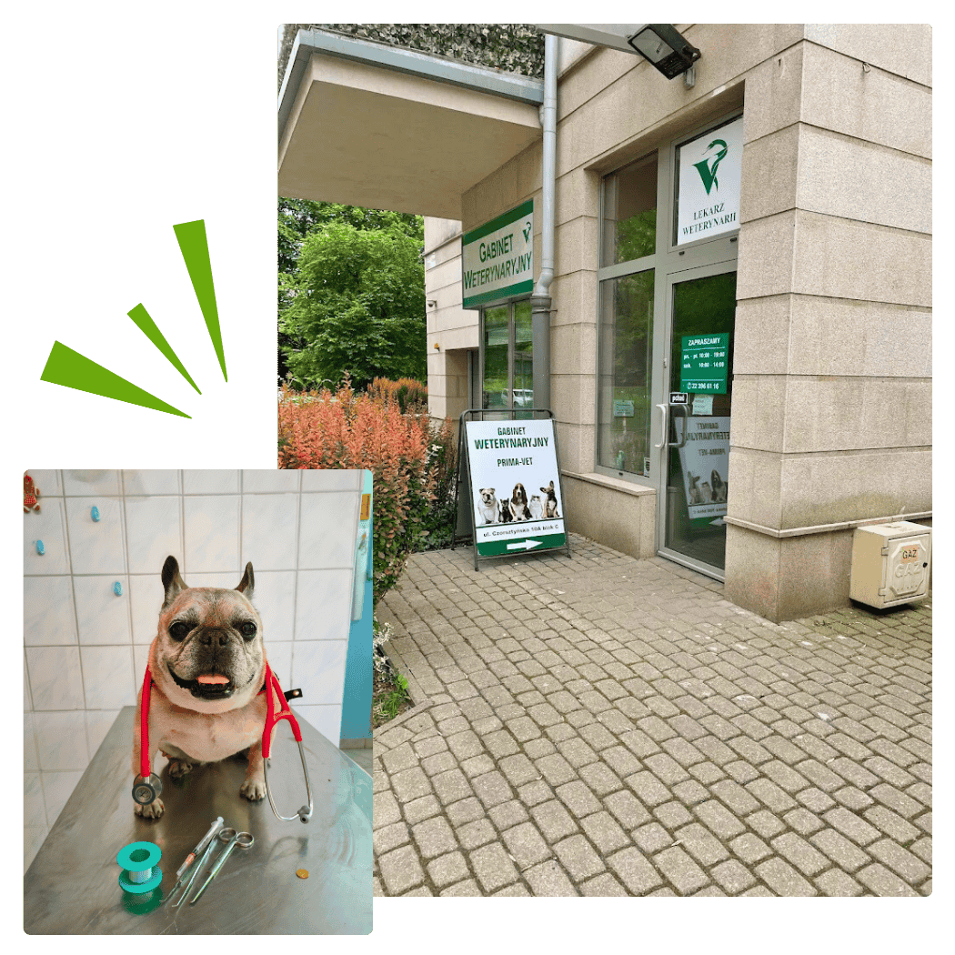 Gabinet PRIMAVET lokalizacja